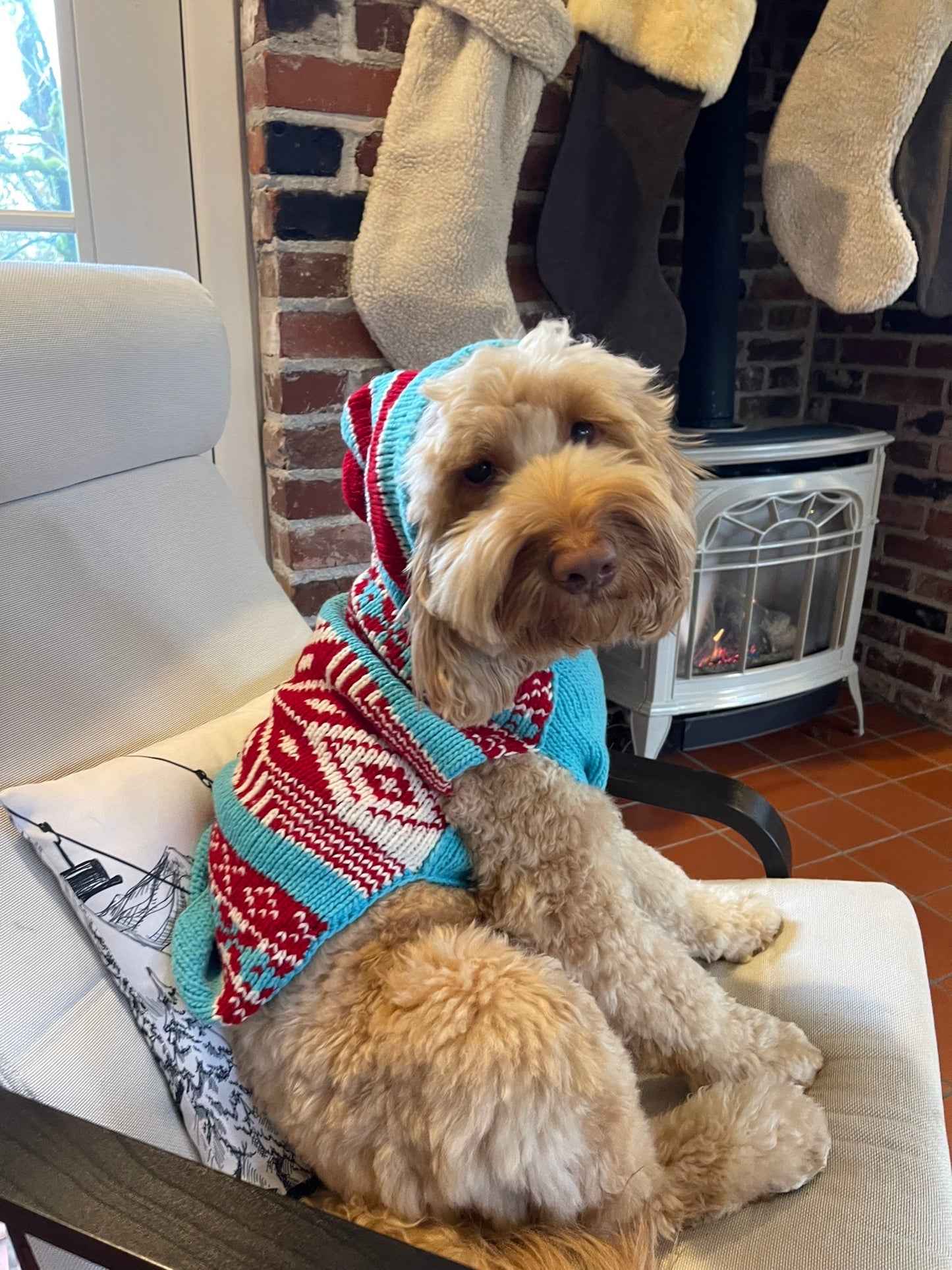 Wool Dog Apparel | Cutest Hooded Dog Sweater