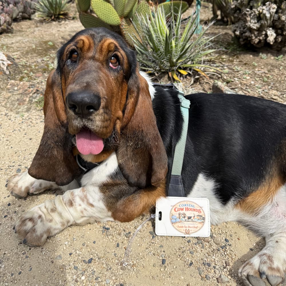 Basset-Con Luggage Tag