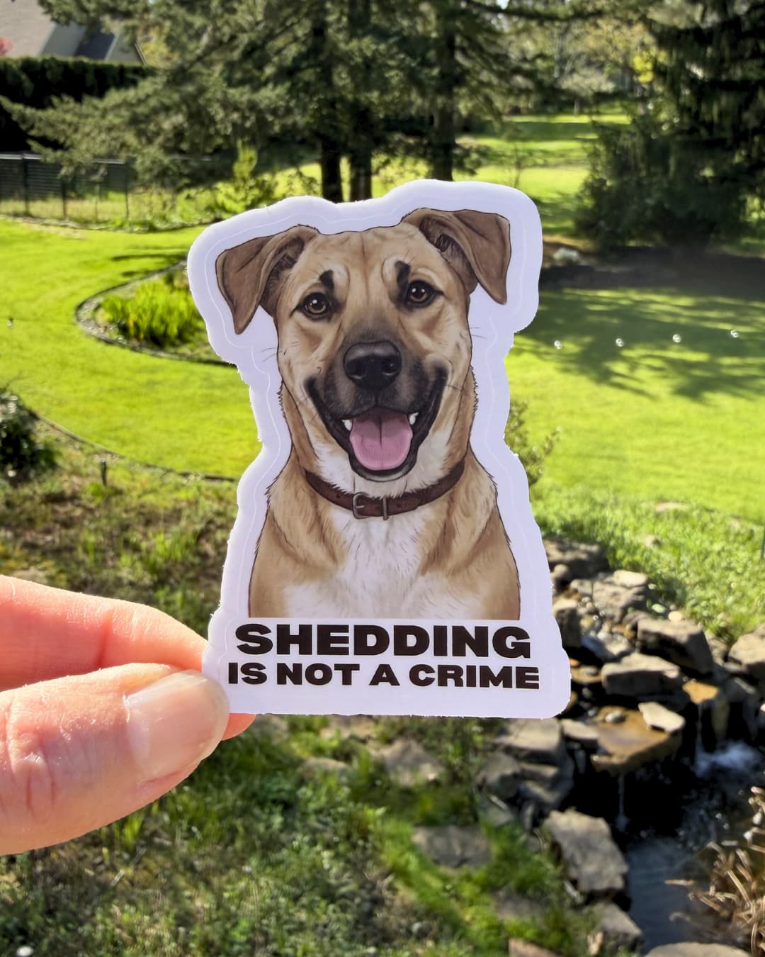 black mouth cur shedding dog sticker funny humor sticker held between fingers outdoors with yard background
