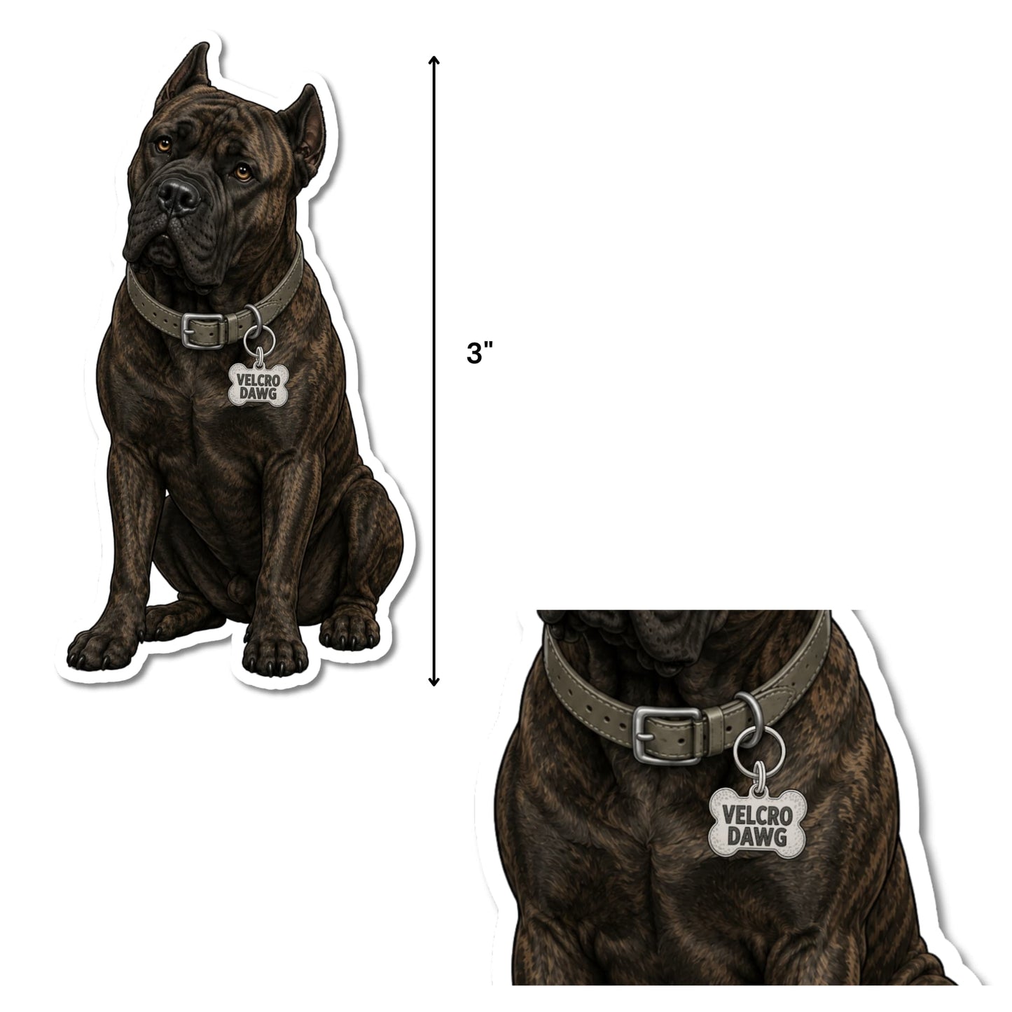 Brindle Cane Corso laptop sticker size reference, 3 inches tall, kiss-cut waterproof matte vinyl, dark brindle Cane Corso with gray leather collar and bone-shaped Velcro Dawg charm, white background.