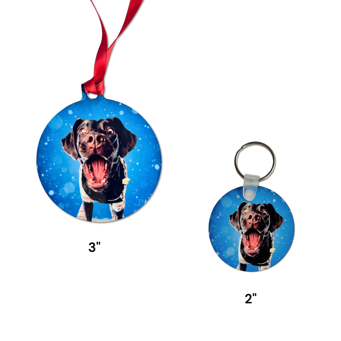 Round custom pet photo ornament and keychain set featuring chocolate Lab on blue background, 3 inch ornament and 2 inch keychain size compa