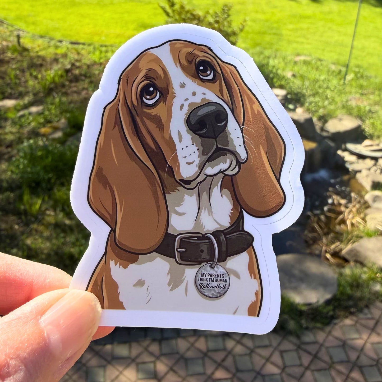 Cute Basset Hound Sticker | Matte Vinyl, Made in USA