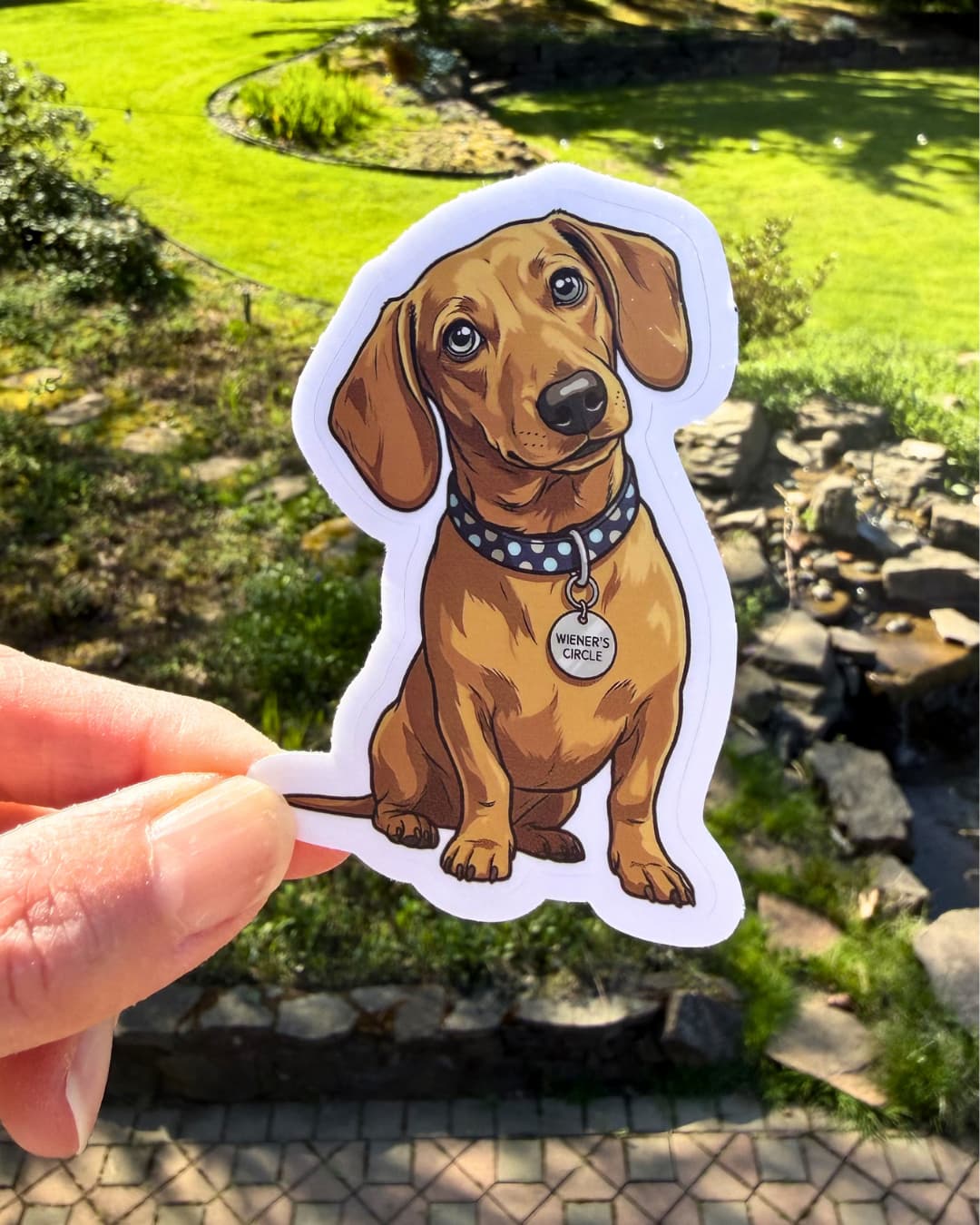 dachshund wieners circle sticker funny dog humor sticker held between fingers outdoors with yard background