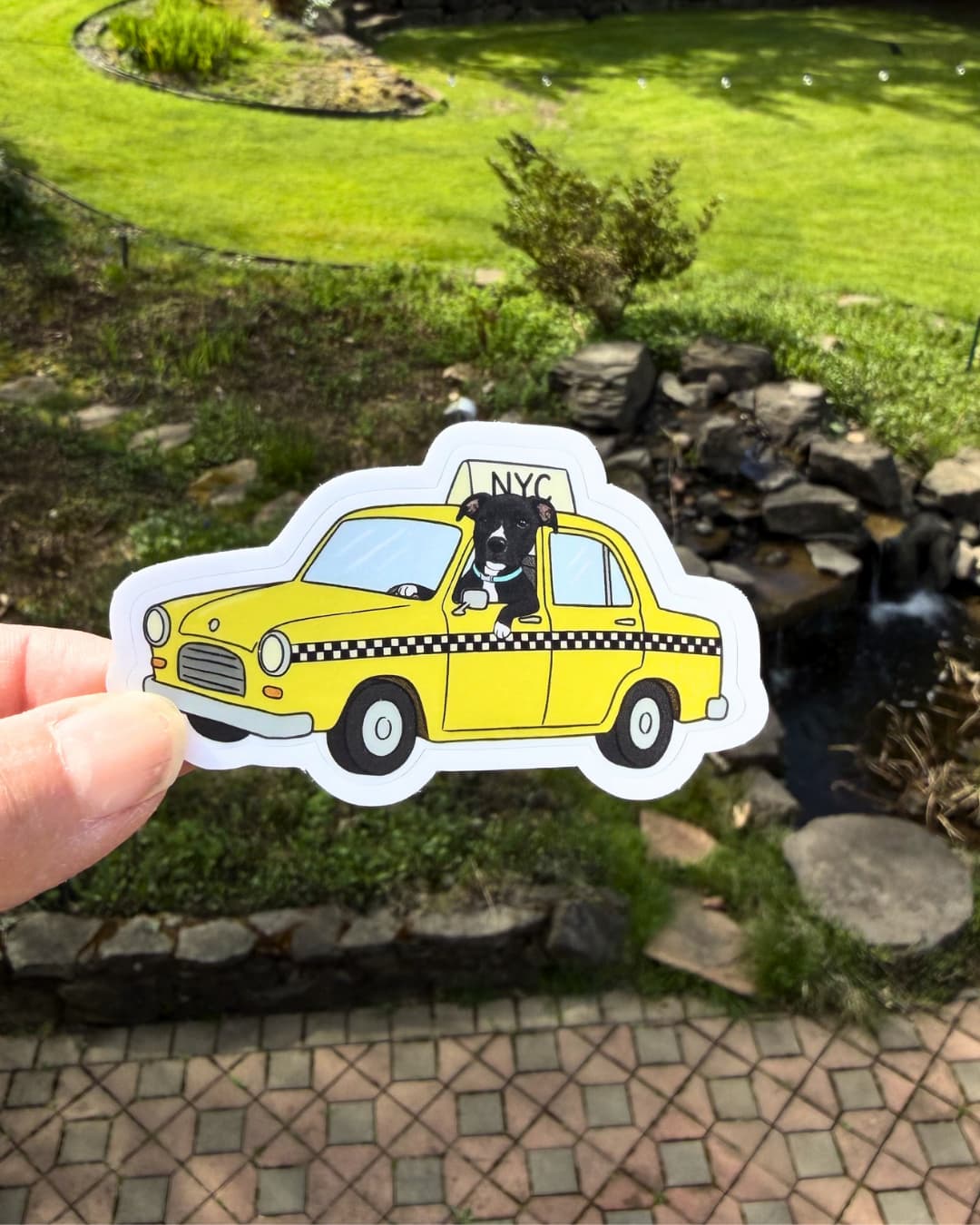 dog in the city sticker funny pitbull mix dog humor sticker held between fingers outdoors with yard background
