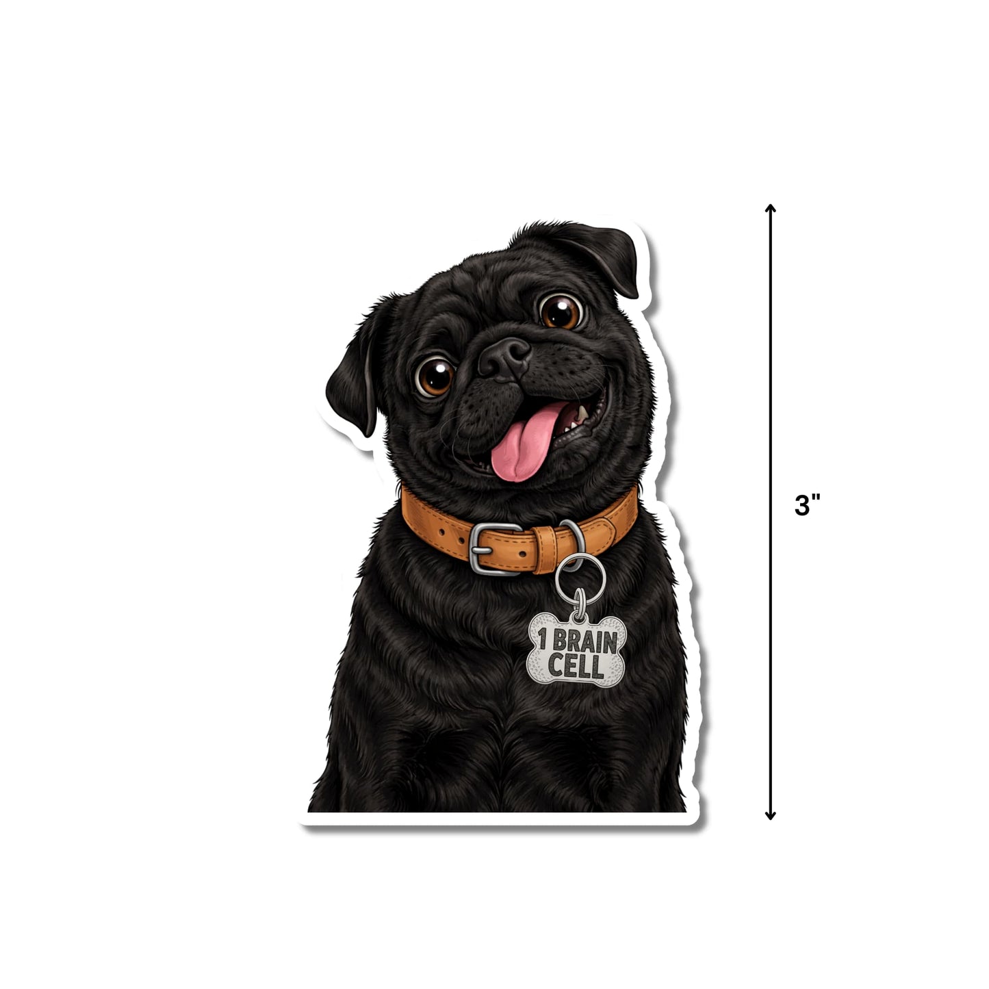 Funny black pug sticker with 3-inch height measurement shown.