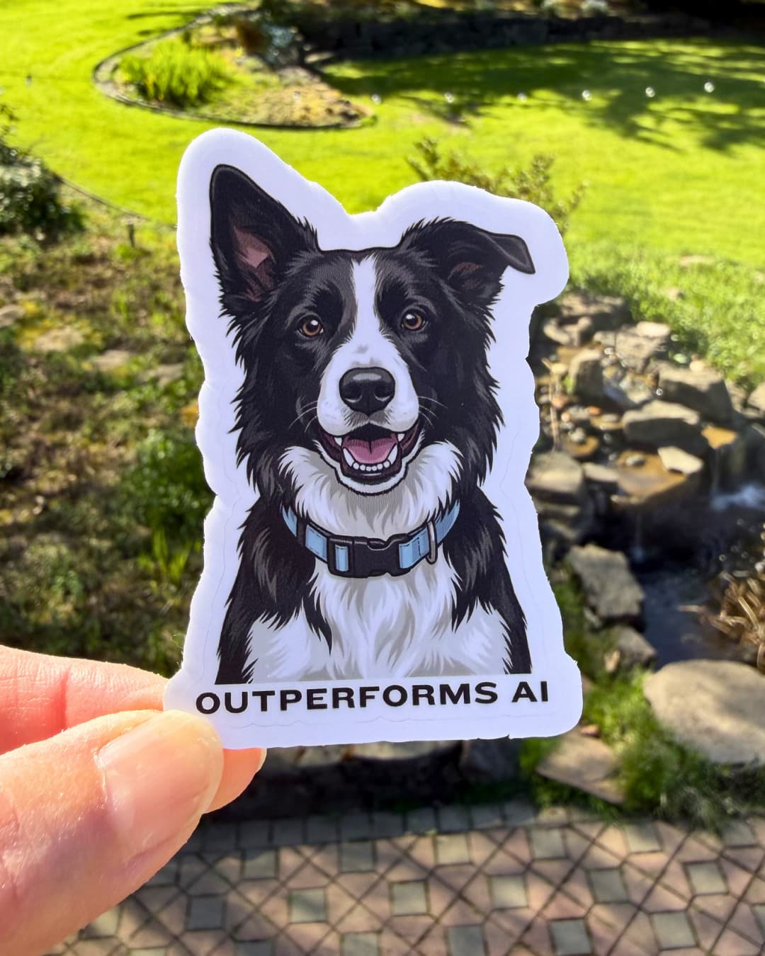 Funny border collie sticker; illustrated dog with caption "outperforms AI" - held by hand with nature background