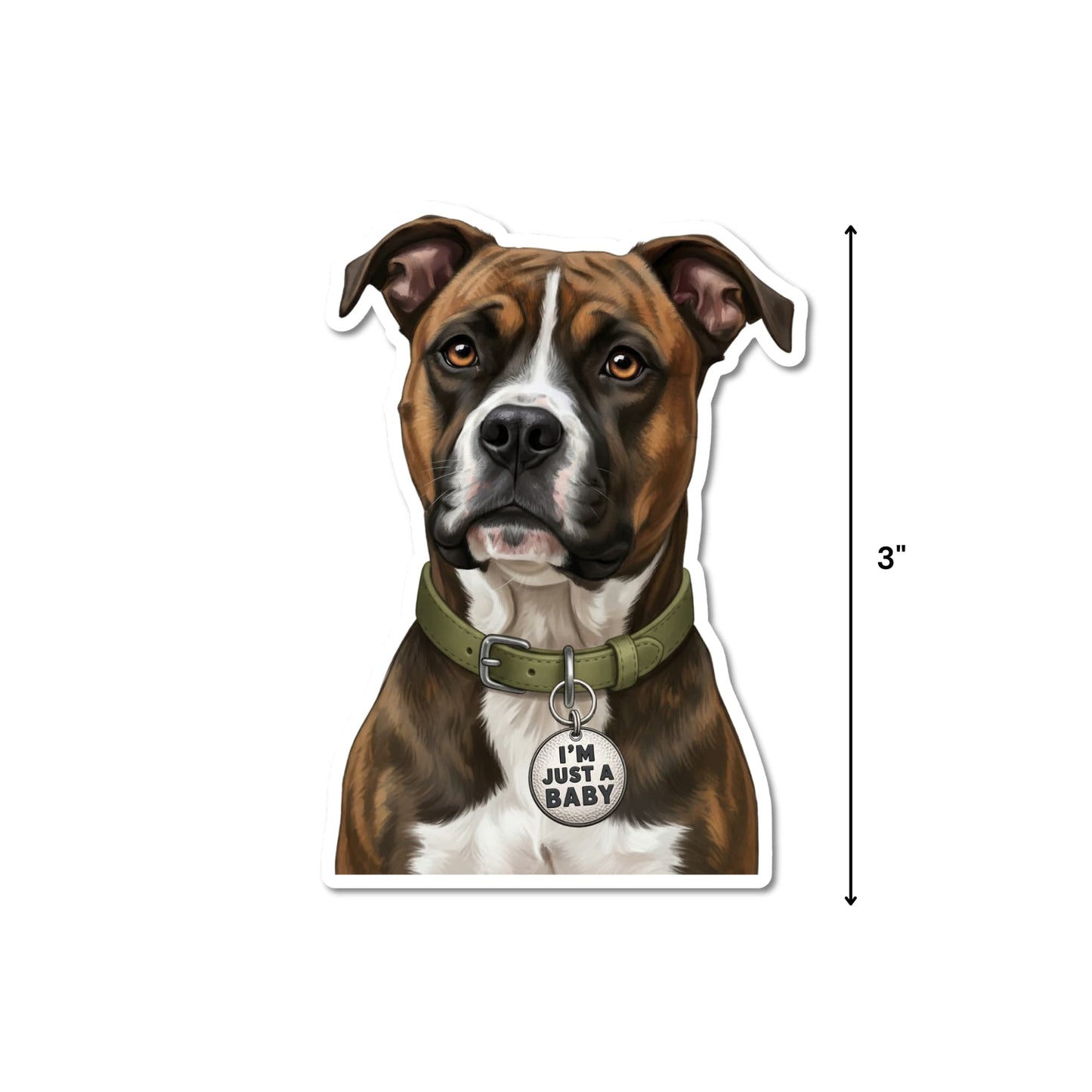 Funny boxer pitbull mix sticker with 3-inch height measurement shown.