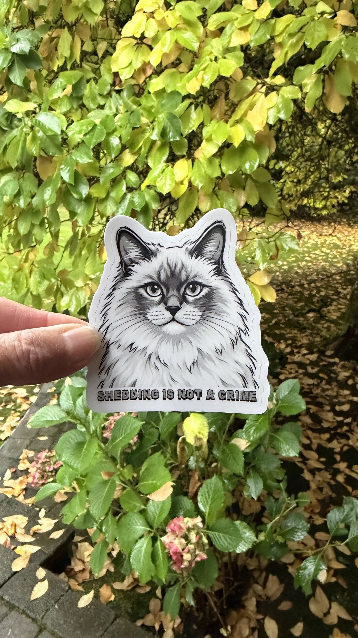 Hand holding the black and white fluffy cat Shedding Is Not a Crime sticker in front of green leaves