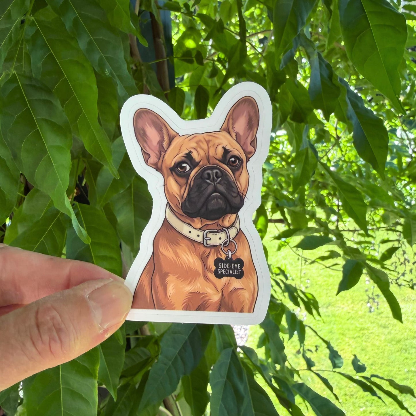 Funny fawn French Bulldog sticker featuring an illustrated seated Frenchie wearing a cream collar and black Side-Eye Specialist tag.