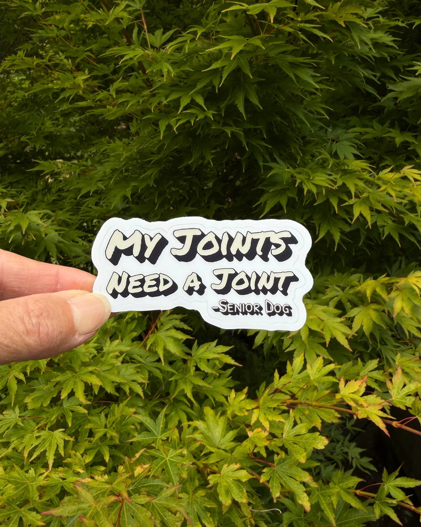 Funny Senior Dog Sticker for Old Pups With Big Attitude