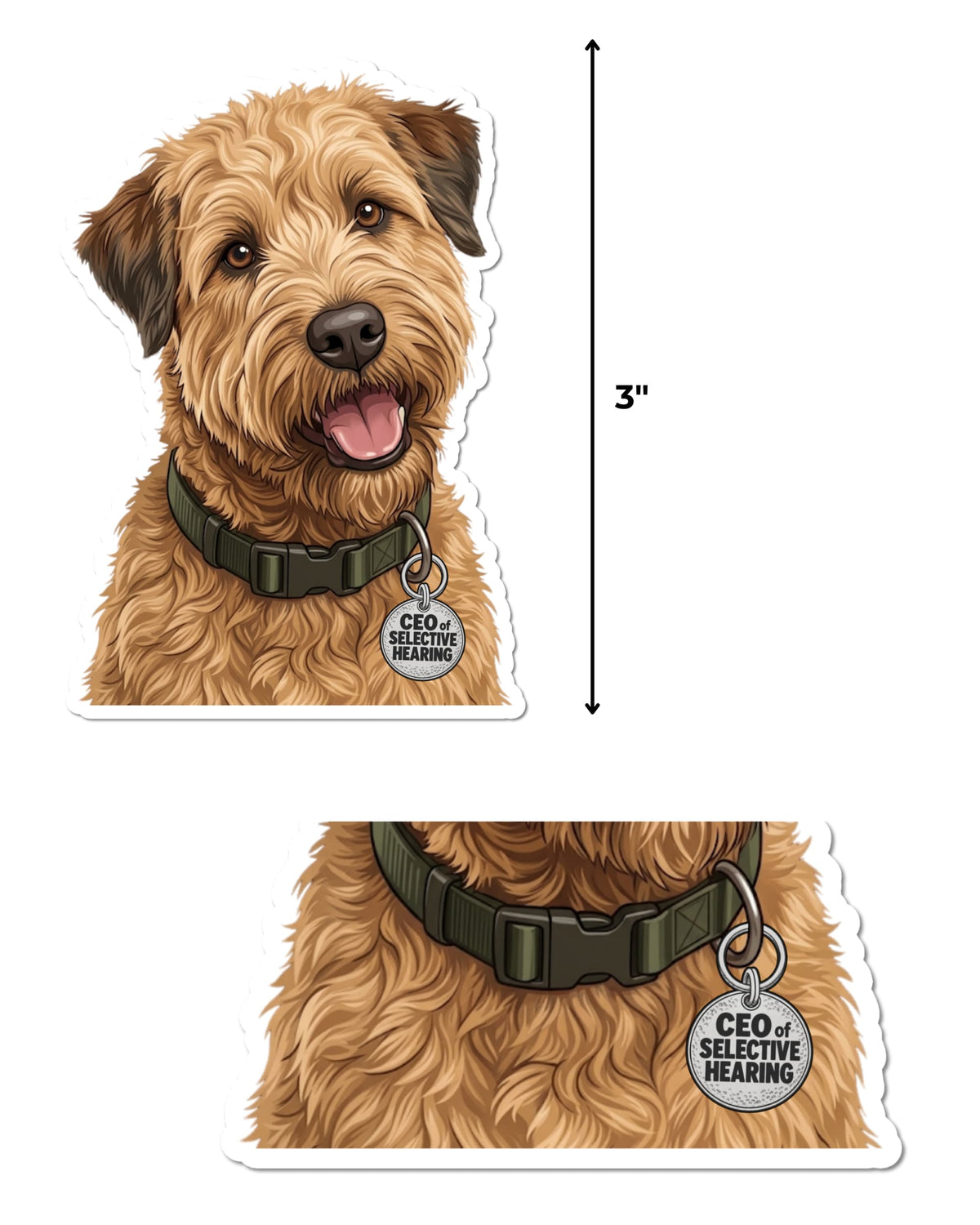 Funny Wheaten Terrier sticker featuring a golden tan dog with dark brown ears beside a vertical size guide, with a close-up below of its olive green collar and silver charm reading “CEO of SELECTIVE HEARING,” on white.