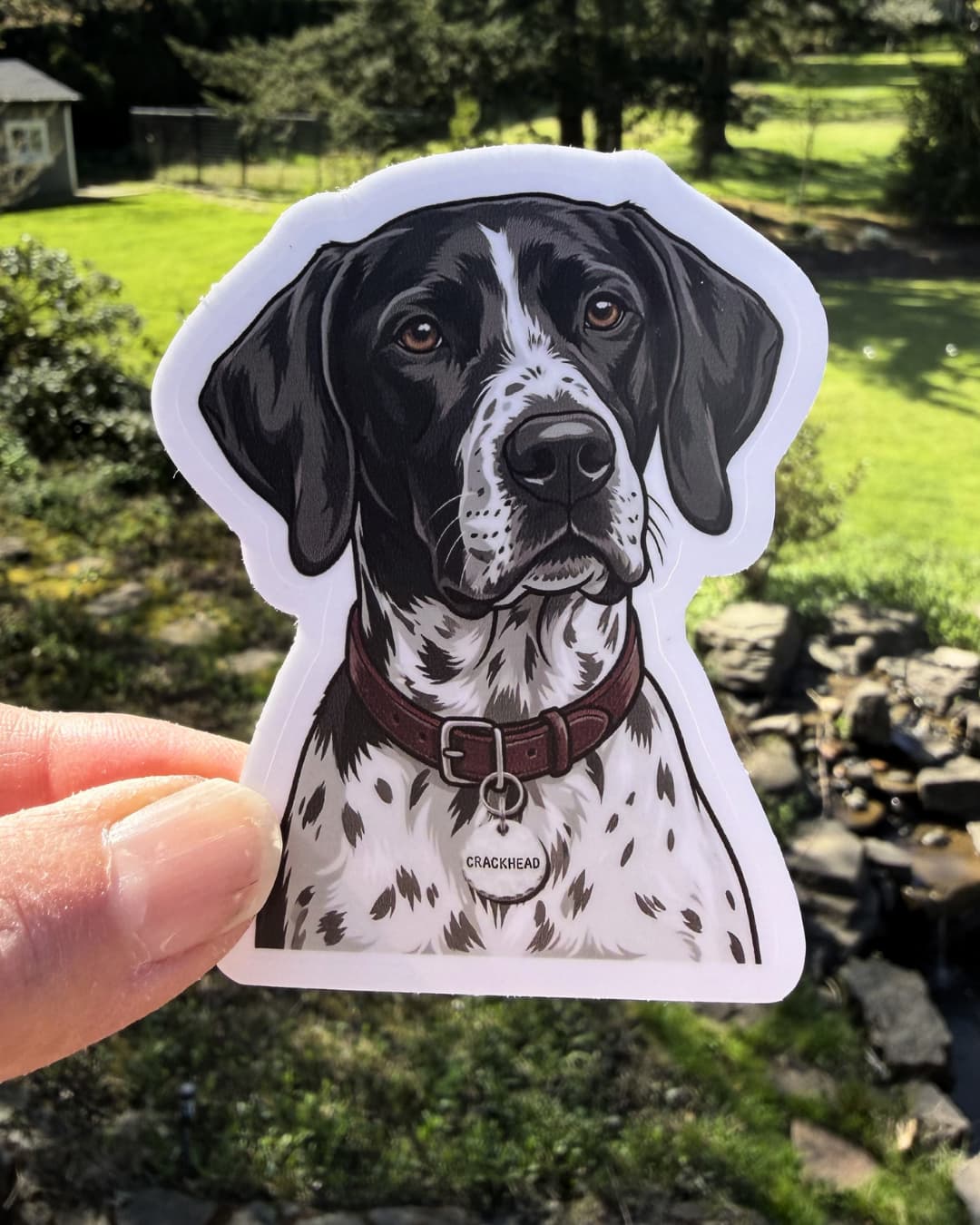 german shorthaired pointer crazy energy sticker funny dog humor sticker held between fingers outdoors with yard background