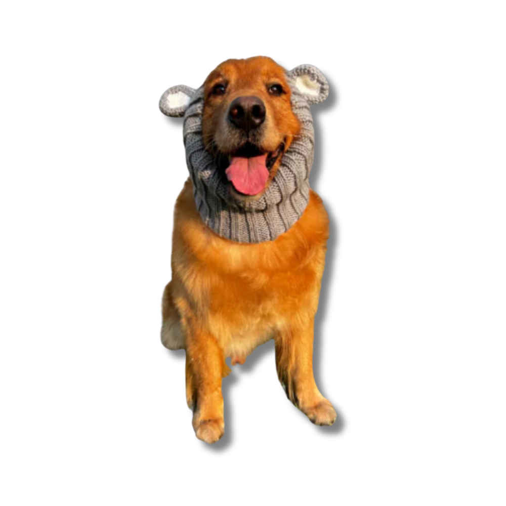 Cute Koala Dog Snood | Koala Hat for Dogs