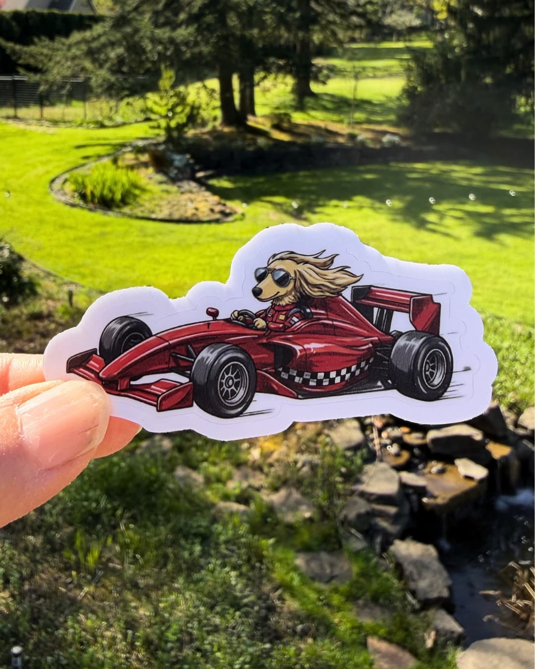 long haired dachshund race car sticker funny dog humor sticker held between fingers outdoors with yard background