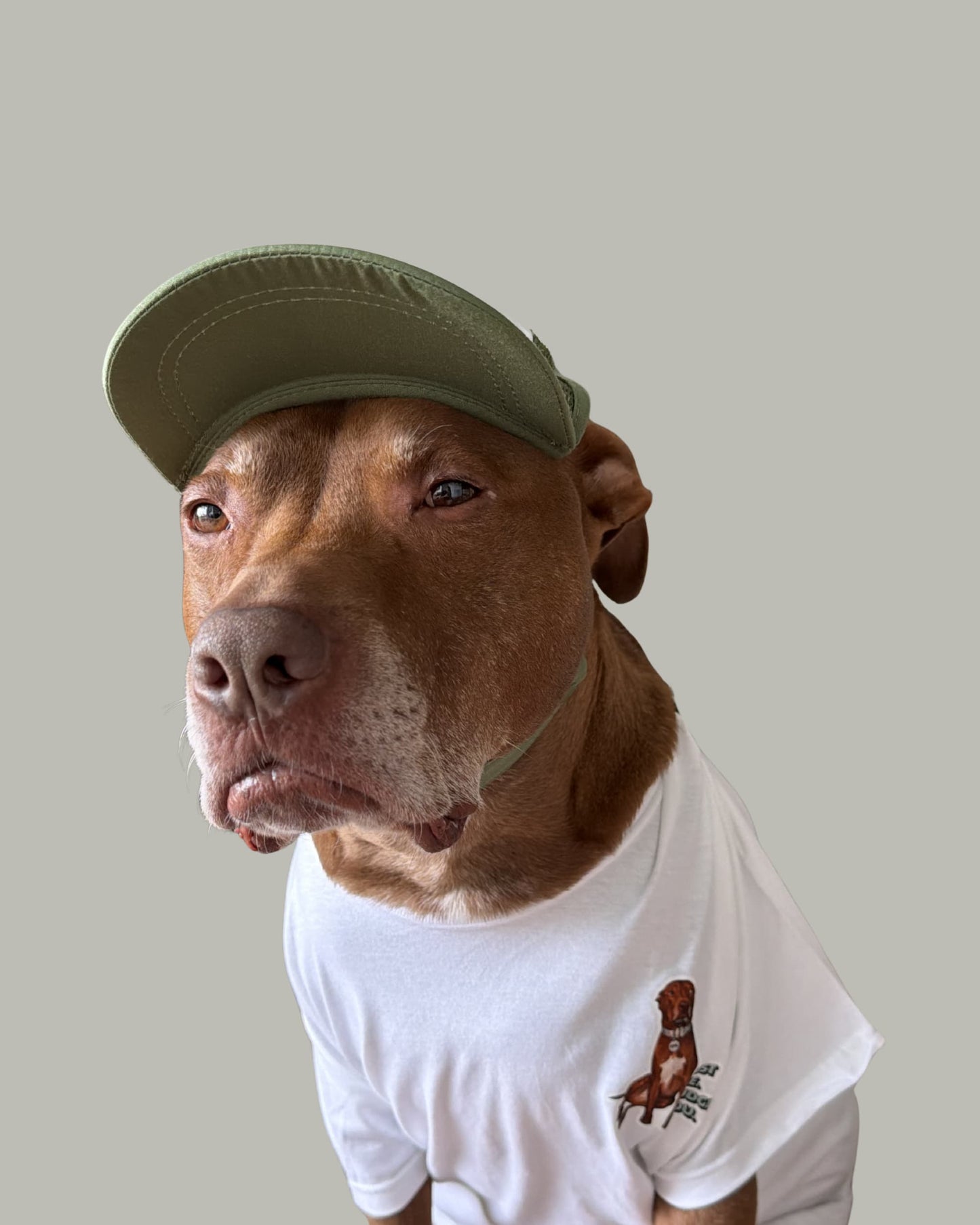 Opie dog hat in olive green being worn by the famous Opie the brown pit bull. He is scowling and also wearing a white t-shirt with official Opie merch design on the chest.