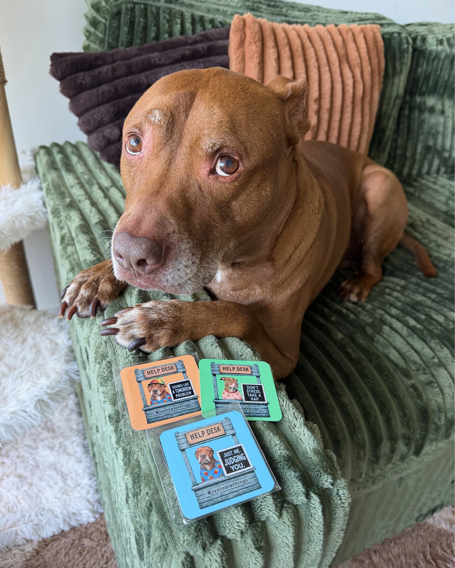 Opie the pit bull on green couch with all three Help Desk magnets (still in shipping plastic), official @justopiethings merch by Sly Dawg Studio