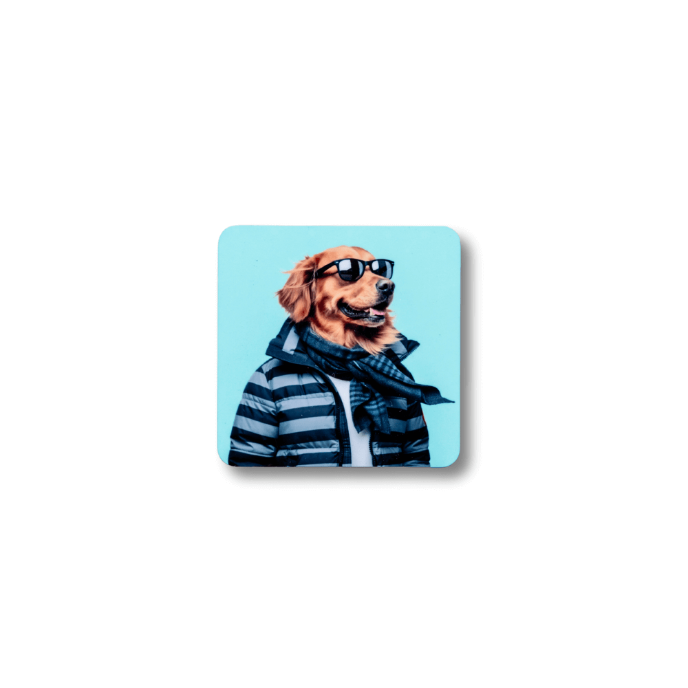 Square golden retriever magnet; dog wearing navy and light blue striped jacket illustration and sunglasses. White background.