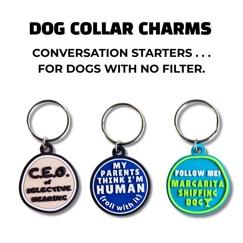 Funny dog collar charms with sarcastic quotes like “CEO of selective hearing” and “Follow me, I smell margaritas”