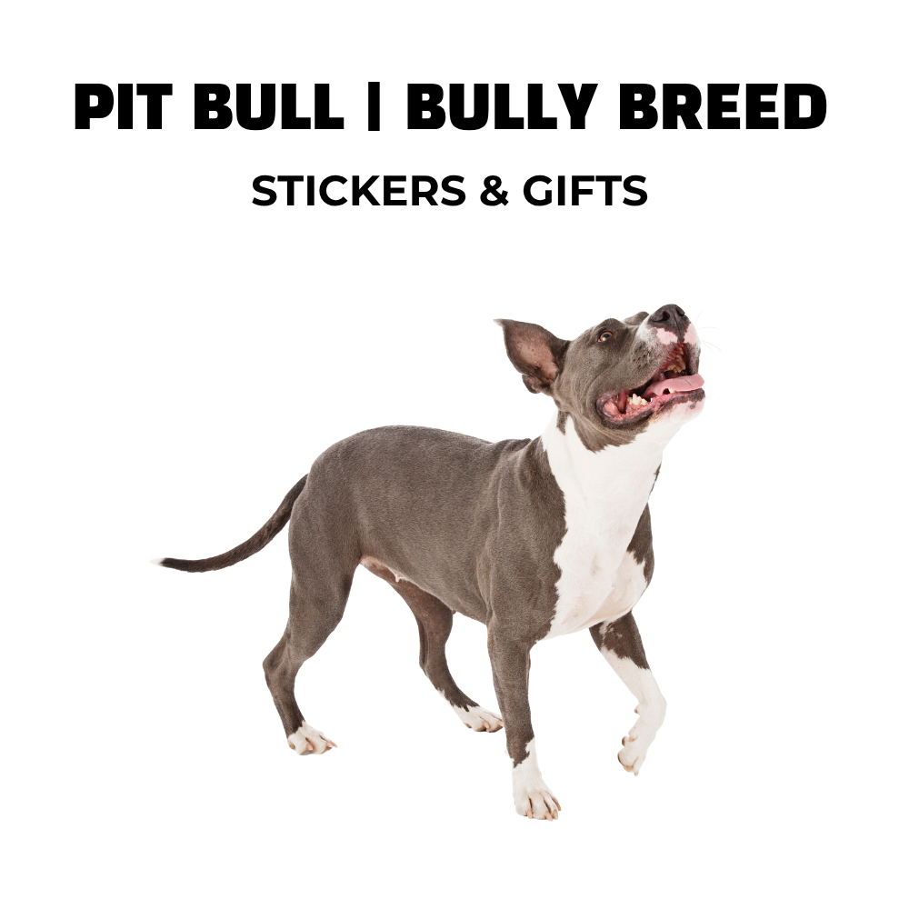 gray and white pit bull with text: pit bull | bully breed stickers and gifts