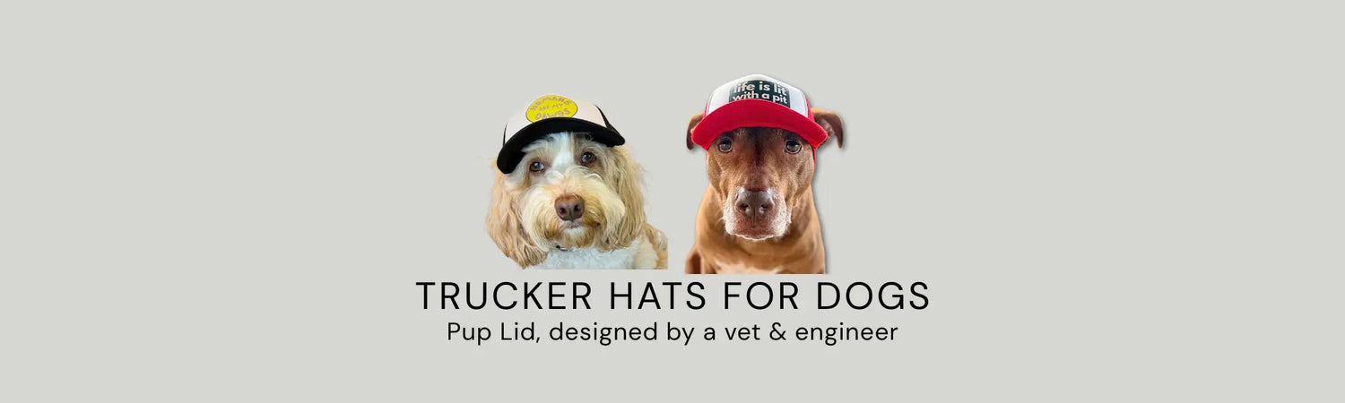 Trucker hats for dogs featuring Goldendoodle wearing black and yellow trucker hat and pit bull wearing red and white Life is Lit with a Pit trucker hat, Pup Lid designed by a vet and engineer, by Sly Dawg Studio