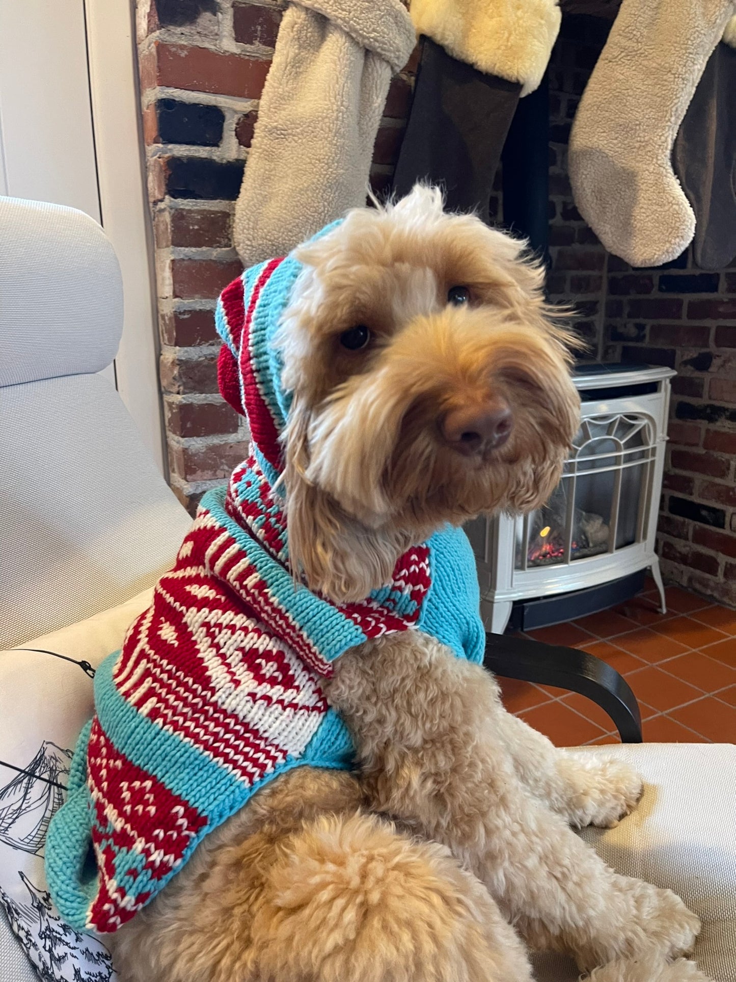 Wool Dog Apparel | Cutest Hooded Dog Sweater