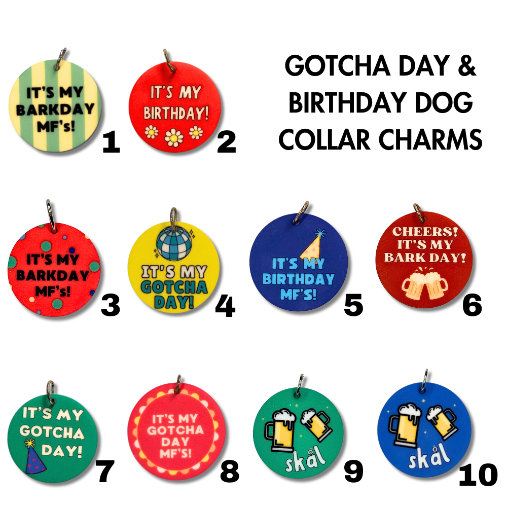 Custom Dog Name Box with 3 Collar Charms