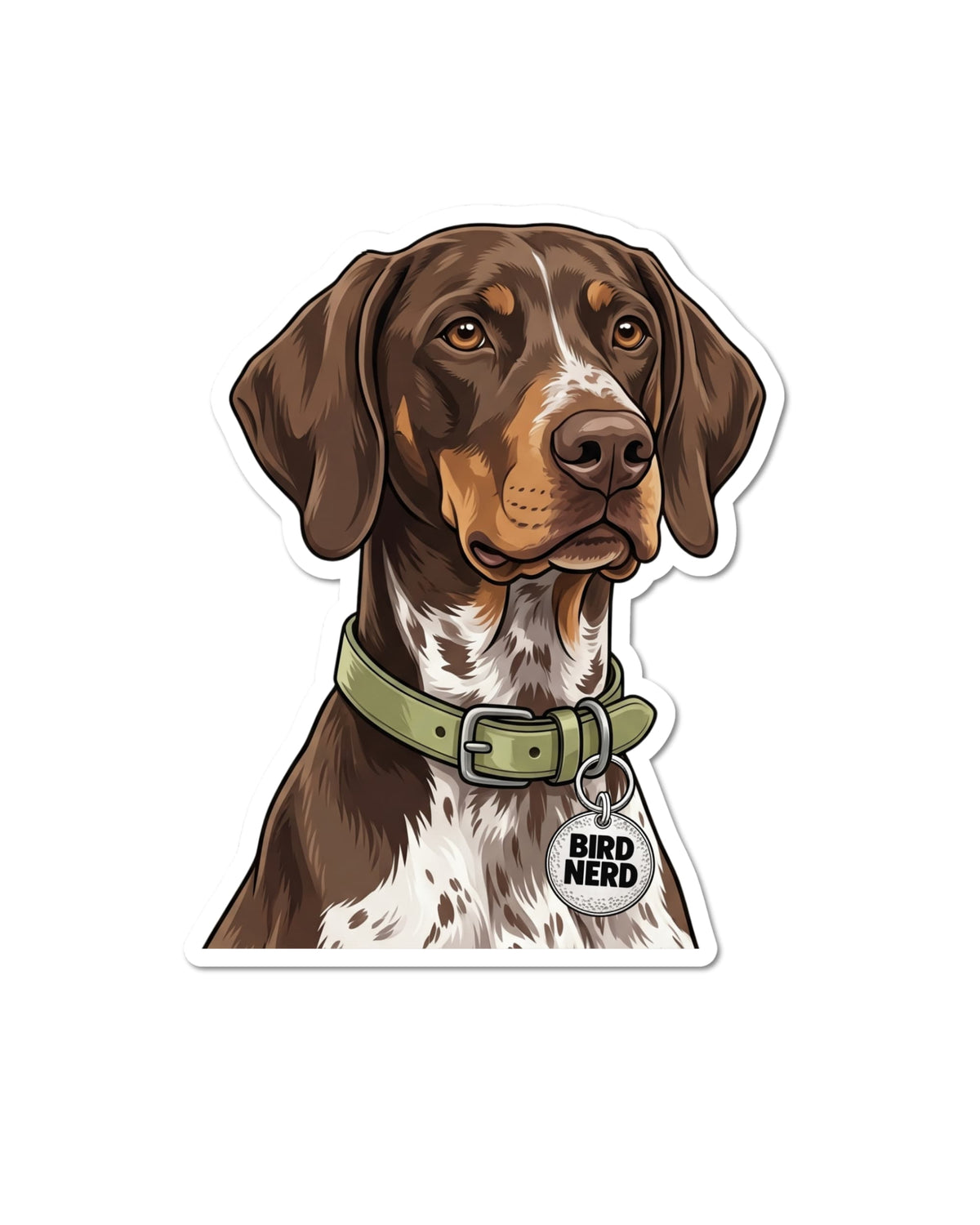 GSP bird dog sticker featuring a brown German Shorthaired Pointer with tan facial markings and a white chest speckled with brown, wearing an olive green collar and round silver charm reading “BIRD NERD,” on white.