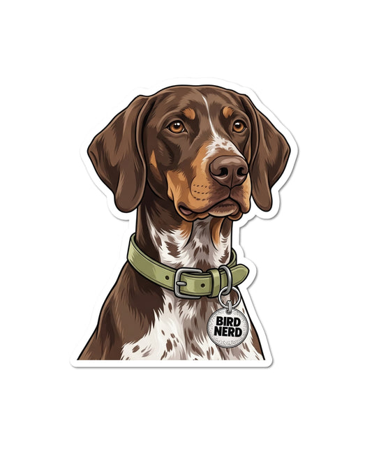 GSP bird dog sticker featuring a brown German Shorthaired Pointer with tan facial markings and a white chest speckled with brown, wearing an olive green collar and round silver charm reading “BIRD NERD,” on white.