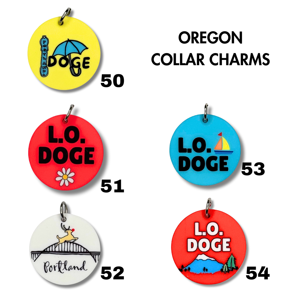Custom Dog Name Box with 3 Collar Charms