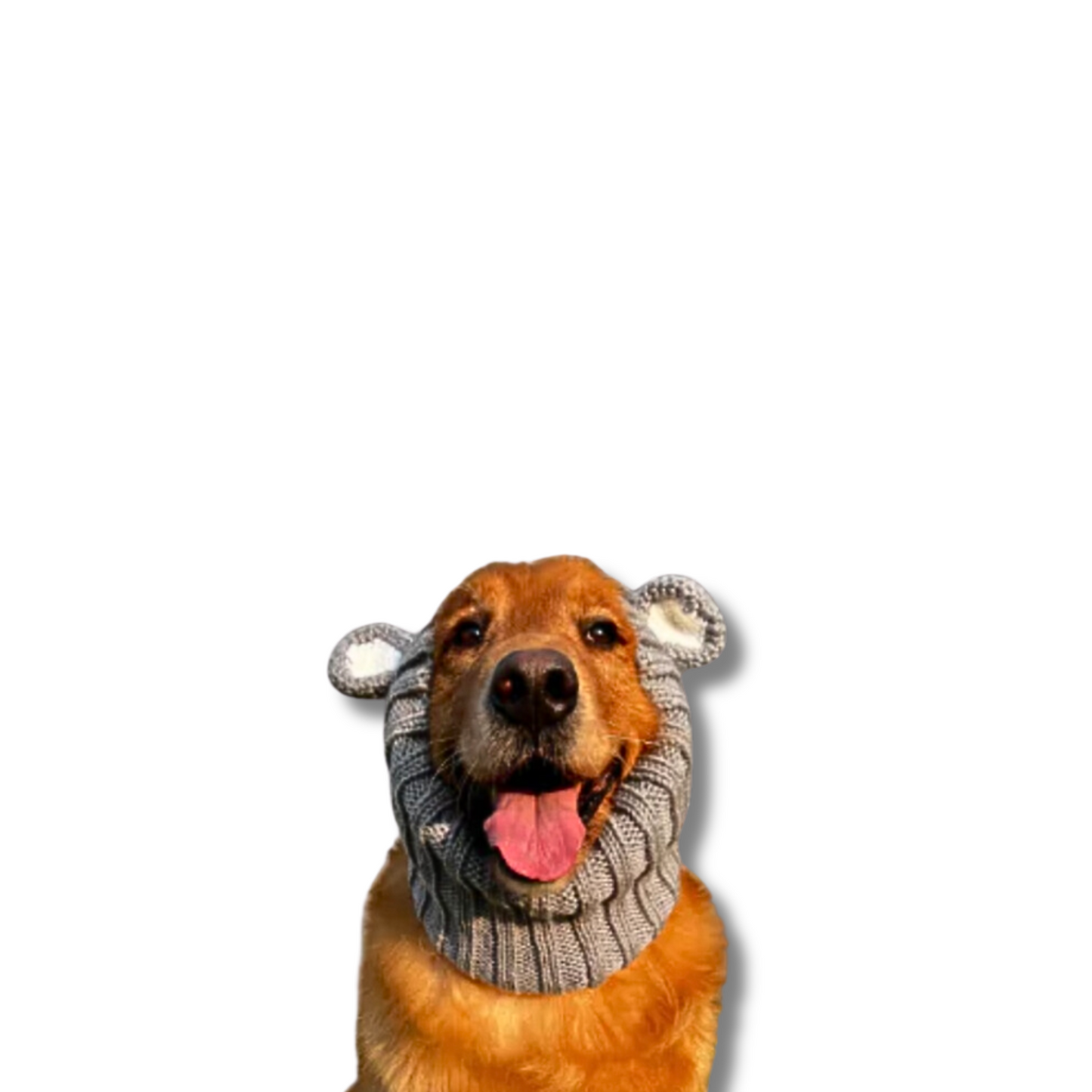 Cute Koala Dog Snood | Koala Hat for Dogs