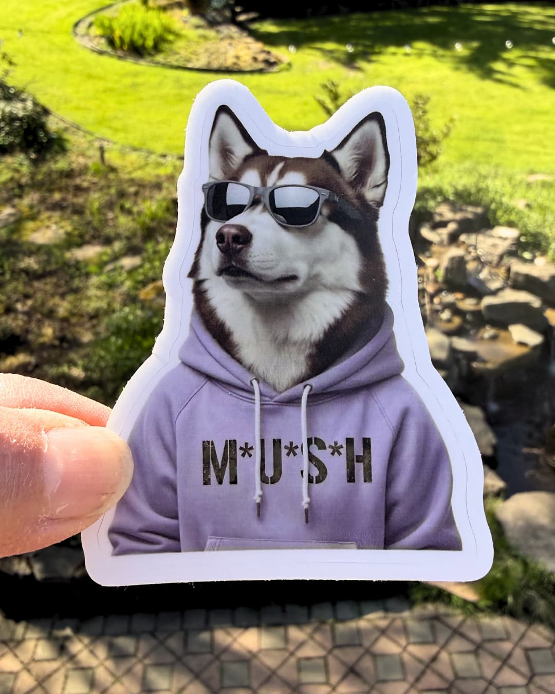 Alaskan Malamute mush funny sticker; dog wearing lavender hoodie and sunglasses. Hoodie says M*U*S*H - held by hand with nature backdrop