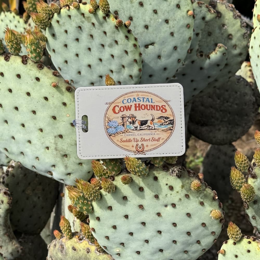 Basset-Con Luggage Tag