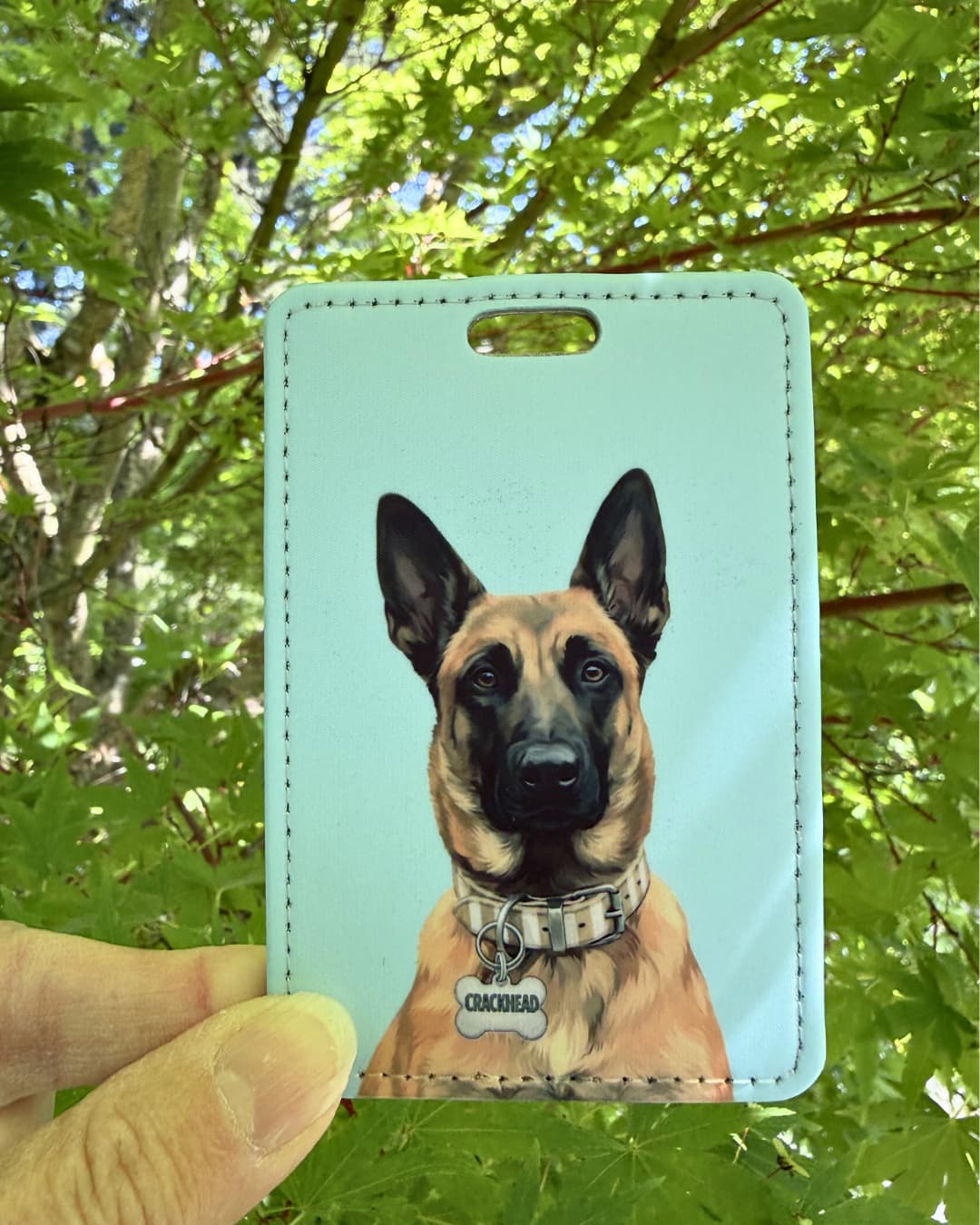 Belgian Malinois luggage tag light teal; Hand holding a light teal faux leather luggage tag featuring a Belgian Malinois with a funny bone charm, green tree foliage background.