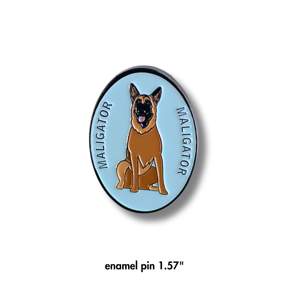 Belgian Malinois 