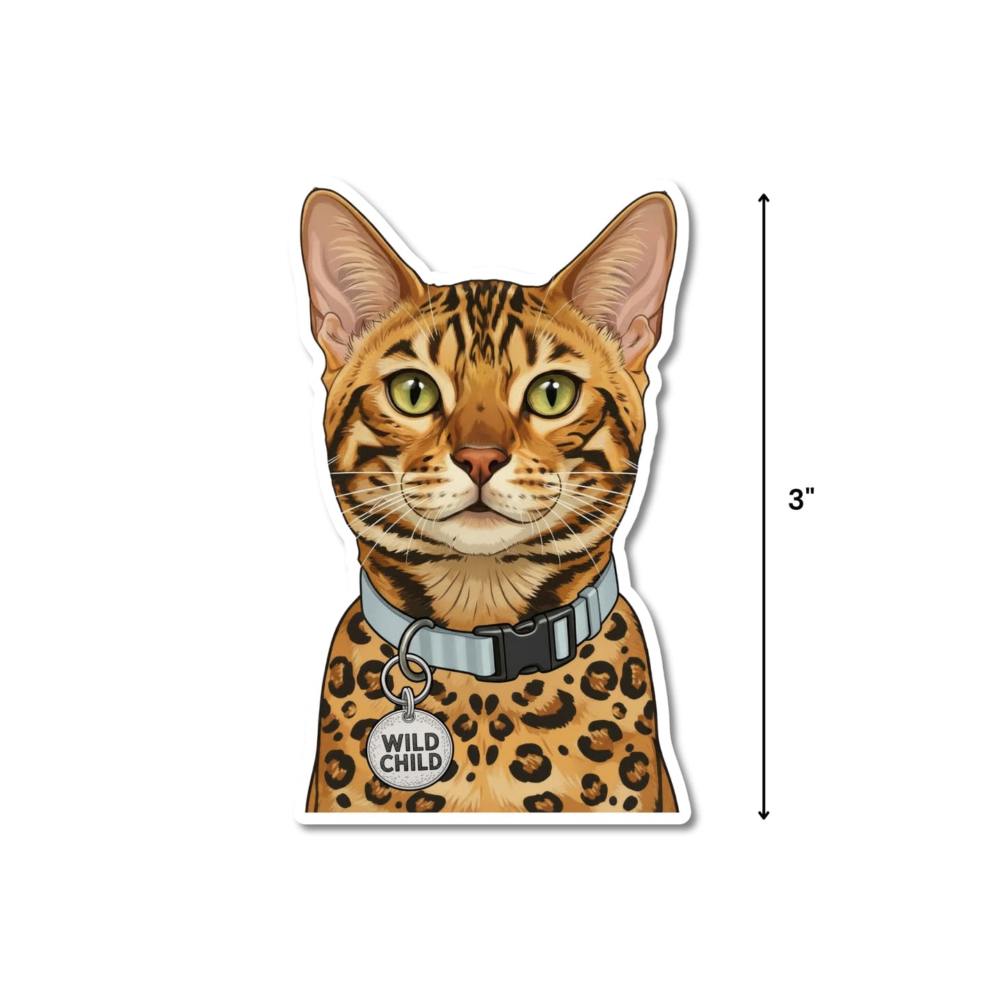 Funny Bengal cat sticker with 3-inch height measurement shown.