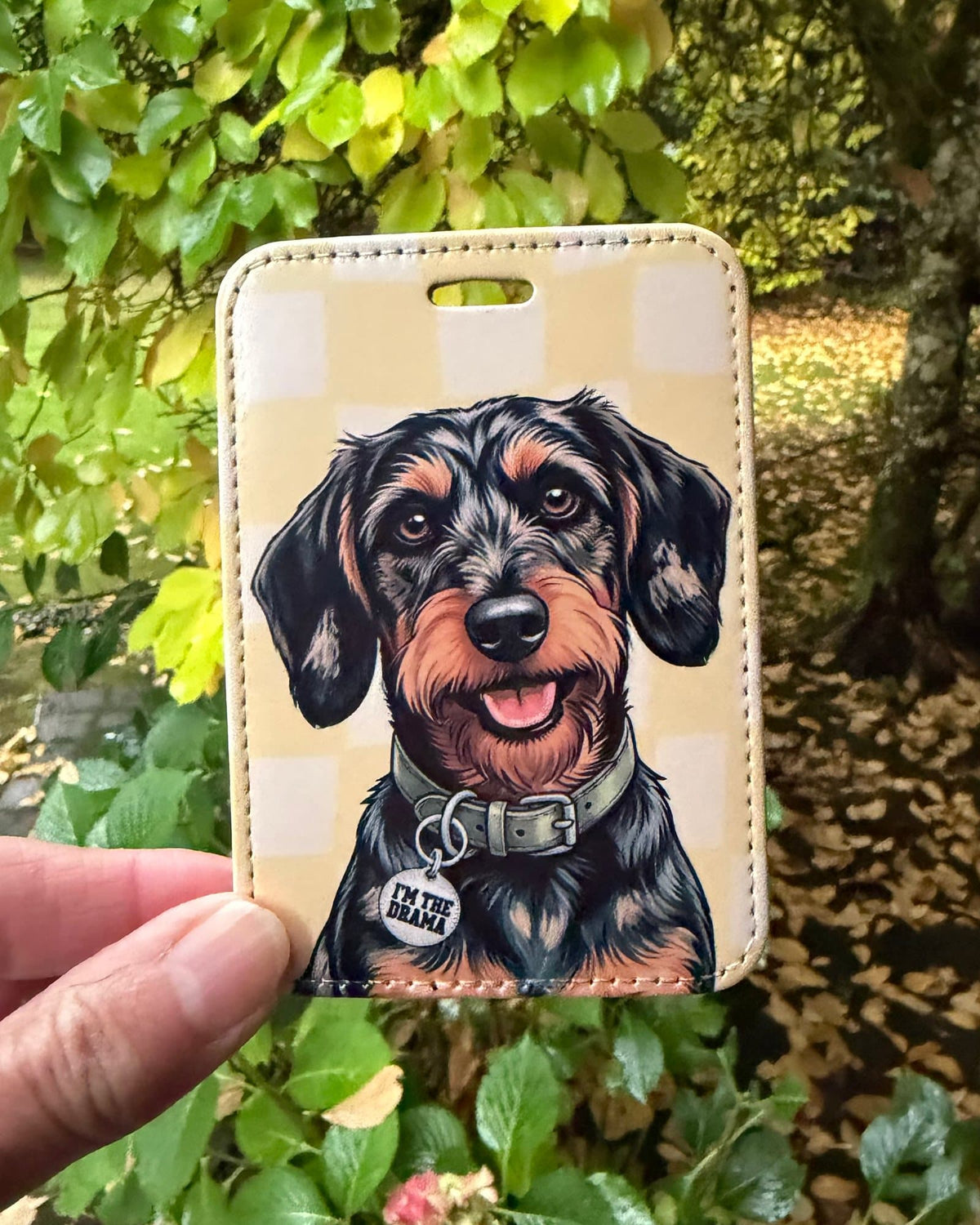 Black and tan wirehaired dachshund luggage tag held outdoors in front of green and yellow fall leaves. The doxie wears a charm that reads "I'm the Drama" on a yellow checkered background.