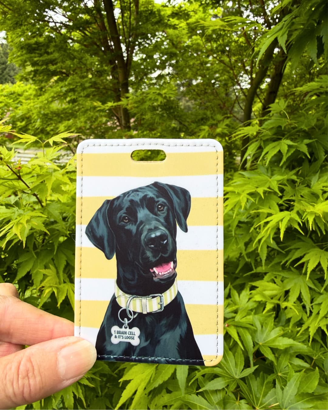 black great dane luggage tag handheld lifestyle shot showing black Great Dane with 1 BRAIN CELL AND ITS LOOSE bone collar tag on yellow and white striped faux leather tag