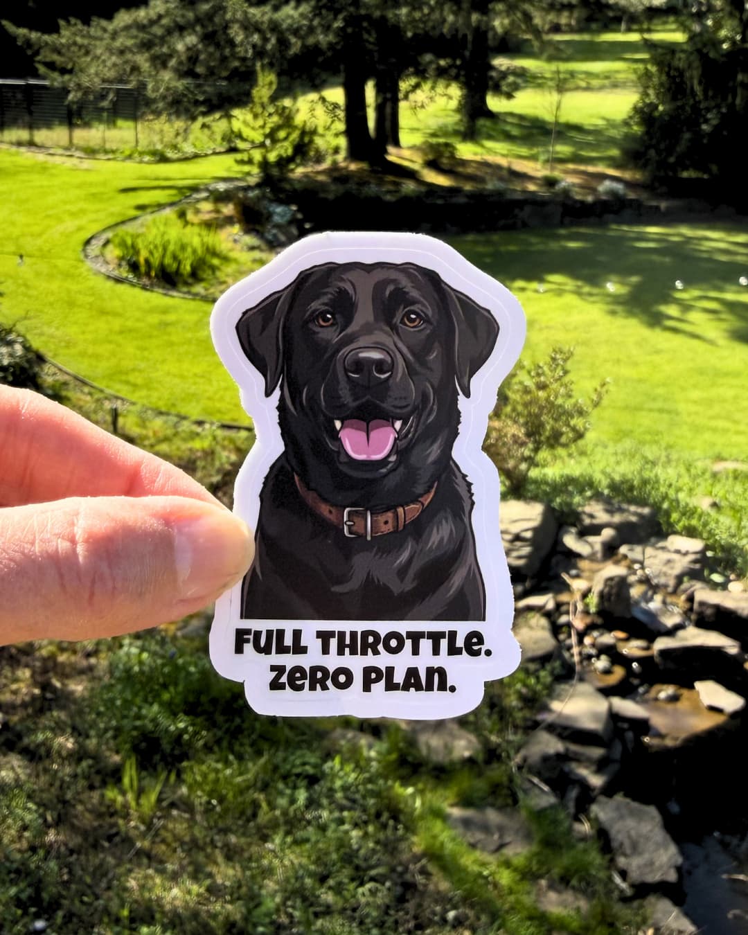 chaotic labrador dog sticker funny lab humor sticker held between fingers outdoors with yard background