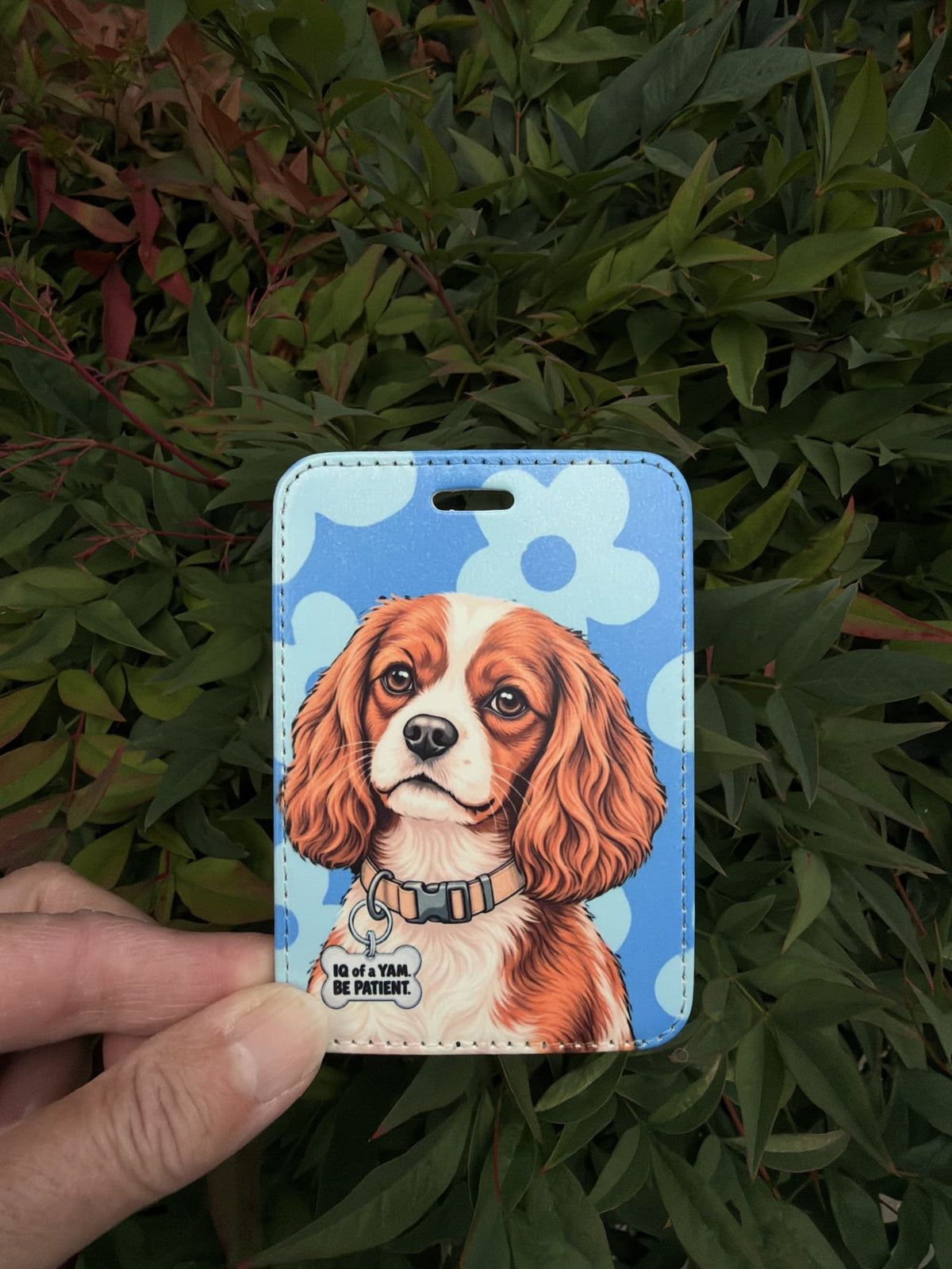 Blenheim Cavalier Luggage Tag held outdoors in front of green leaves. A Blenheim Cavalier King Charles Spaniel wears a tan collar and a charm that reads "IQ of a Yam. Be Patient." on blue with light blue flowers.