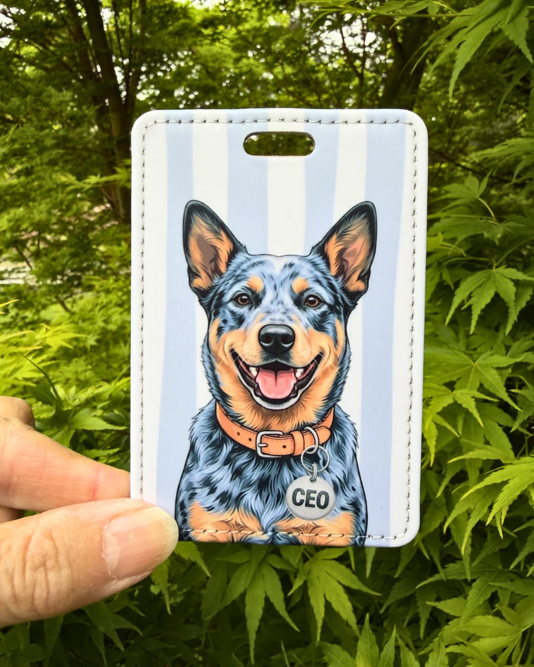 Blue heeler luggage tag; luggage tag with an illustrated Blue Heeler wearing a "CEO" charm, light blue and white vertical stripes, white background. Tag being held in front of green foliage.