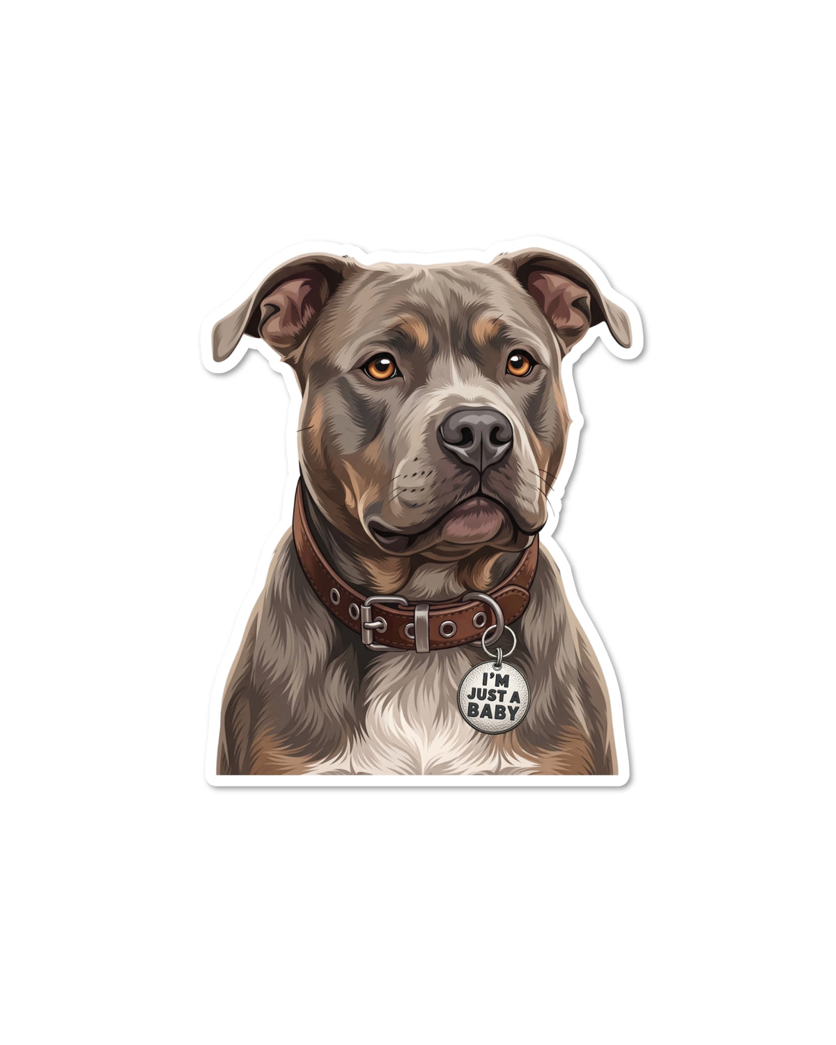 Blue tri American bully sticker: blue gray bully dog with tan eyebrows, white chest, brown collar, and tag reading I'm Just a Baby
