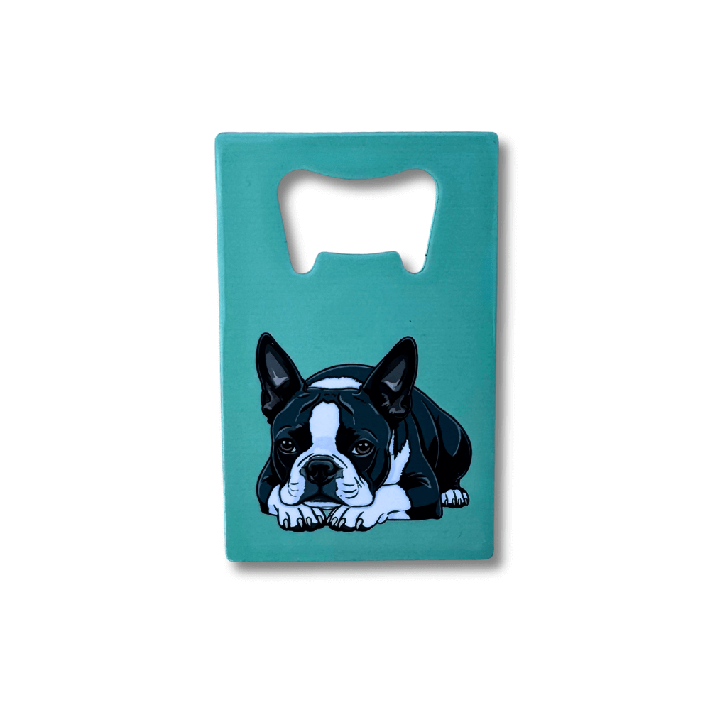 Flat stainless steel Boston Terrier bottle opener with teal background and illustrated black-and-white Boston Terrier lying down.