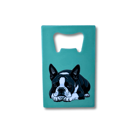 Flat stainless steel Boston Terrier bottle opener with teal background and illustrated black-and-white Boston Terrier lying down.