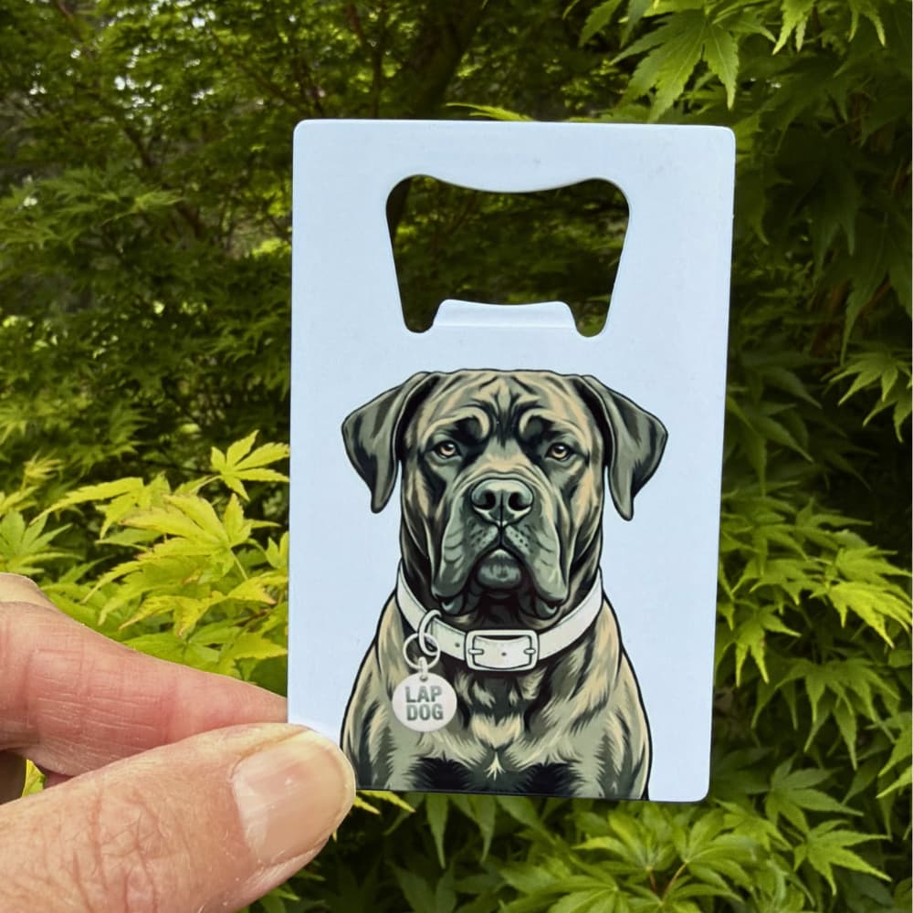 Brindle Cane Corso Bottle Opener: light blue bottle opener (flat rectangle) with illustration of dark brindle Cane Corso and funny tag "lap dog" on collar. Hand held in front of a green tree.