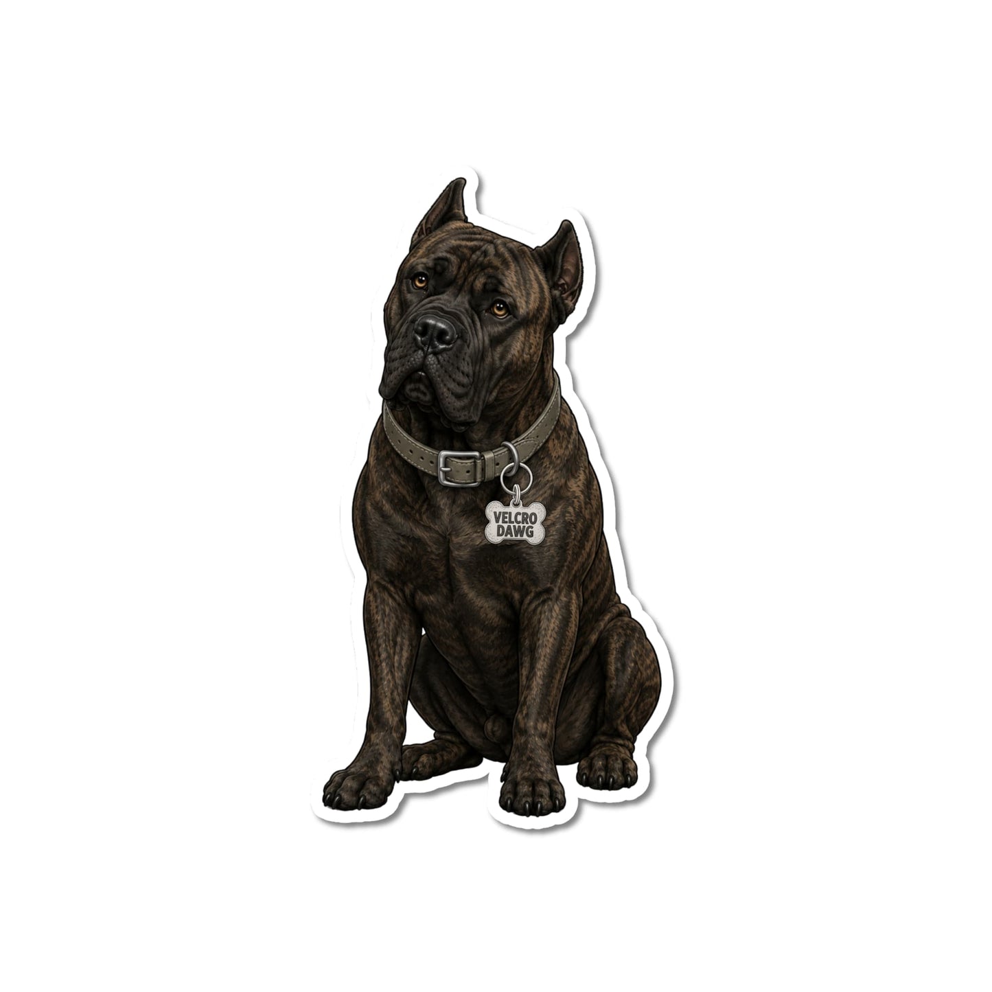Brindle Cane Corso laptop sticker, kiss-cut waterproof matte vinyl featuring a dark brindle Cane Corso with light brown eyes, gray leather collar and bone-shaped Velcro Dawg charm, white contour border, white background.