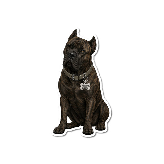 Brindle Cane Corso laptop sticker, kiss-cut waterproof matte vinyl featuring a dark brindle Cane Corso with light brown eyes, gray leather collar and bone-shaped Velcro Dawg charm, white contour border, white background.