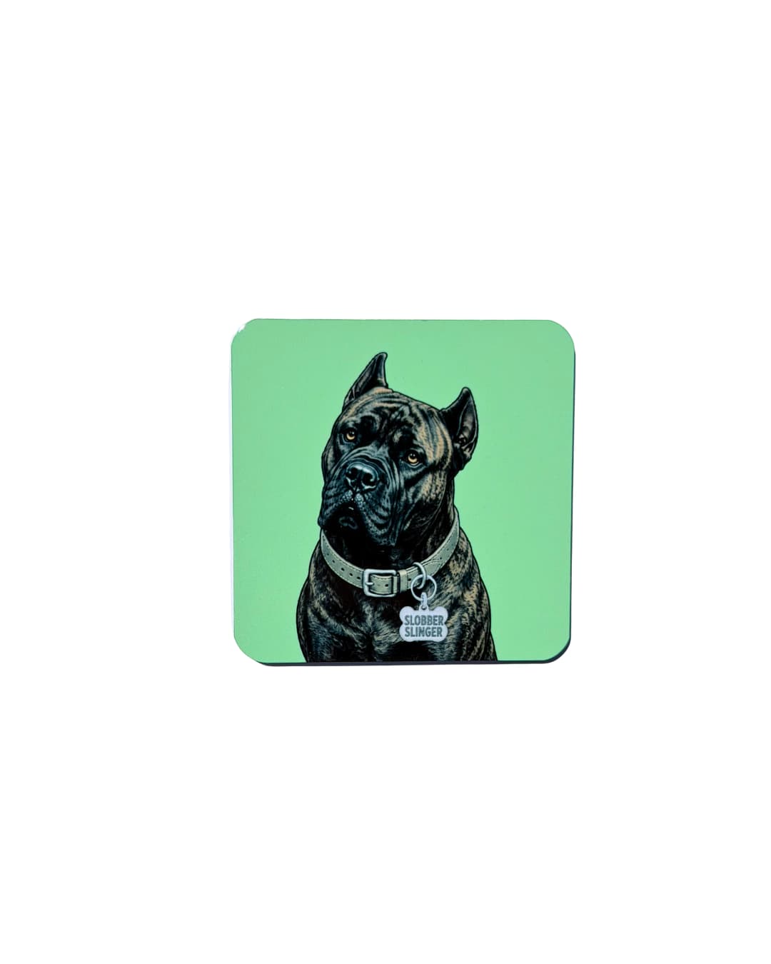 Brindle Cane Corso magnet on white background, 2.5 inch square aluminum with Slobber Slinger collar tag, sage green background
