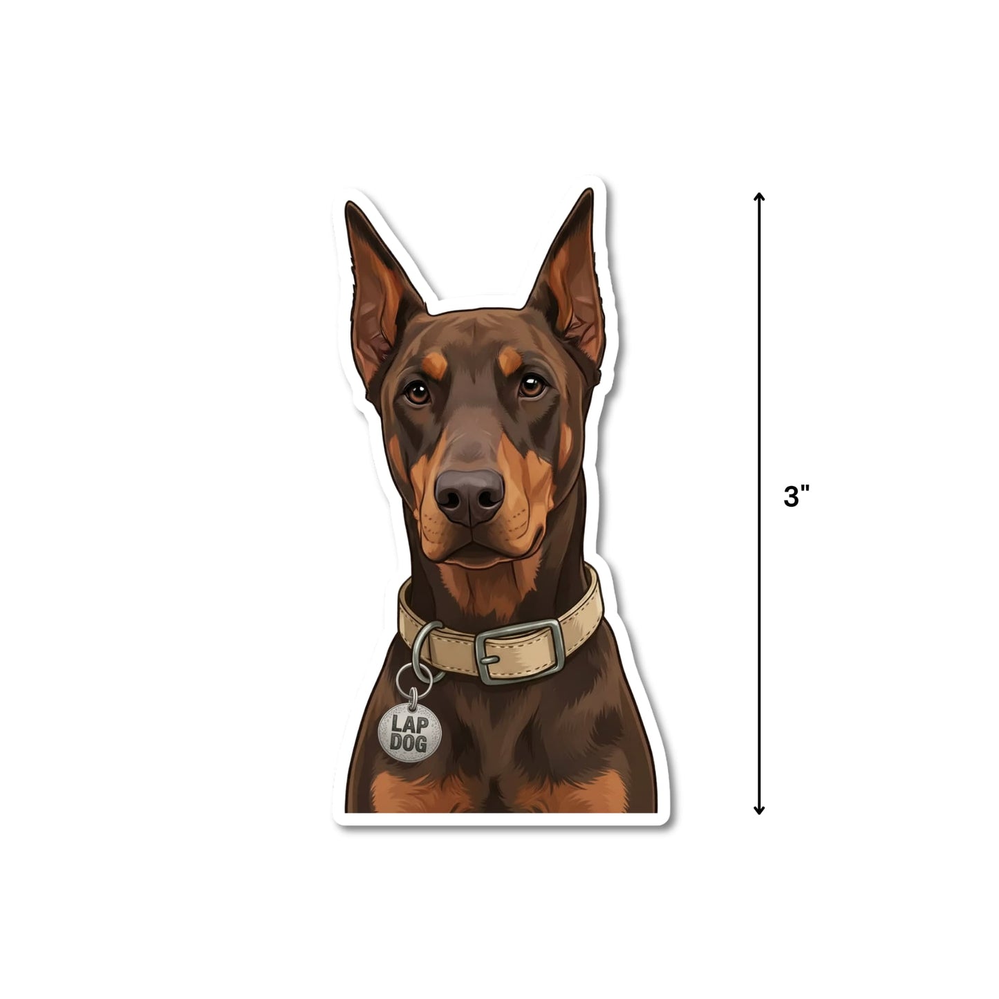 Brown Doberman sticker size reference, 3 inches tall, kiss-cut waterproof matte vinyl, brown and tan Doberman with beige collar and Lap Dog charm, white background.