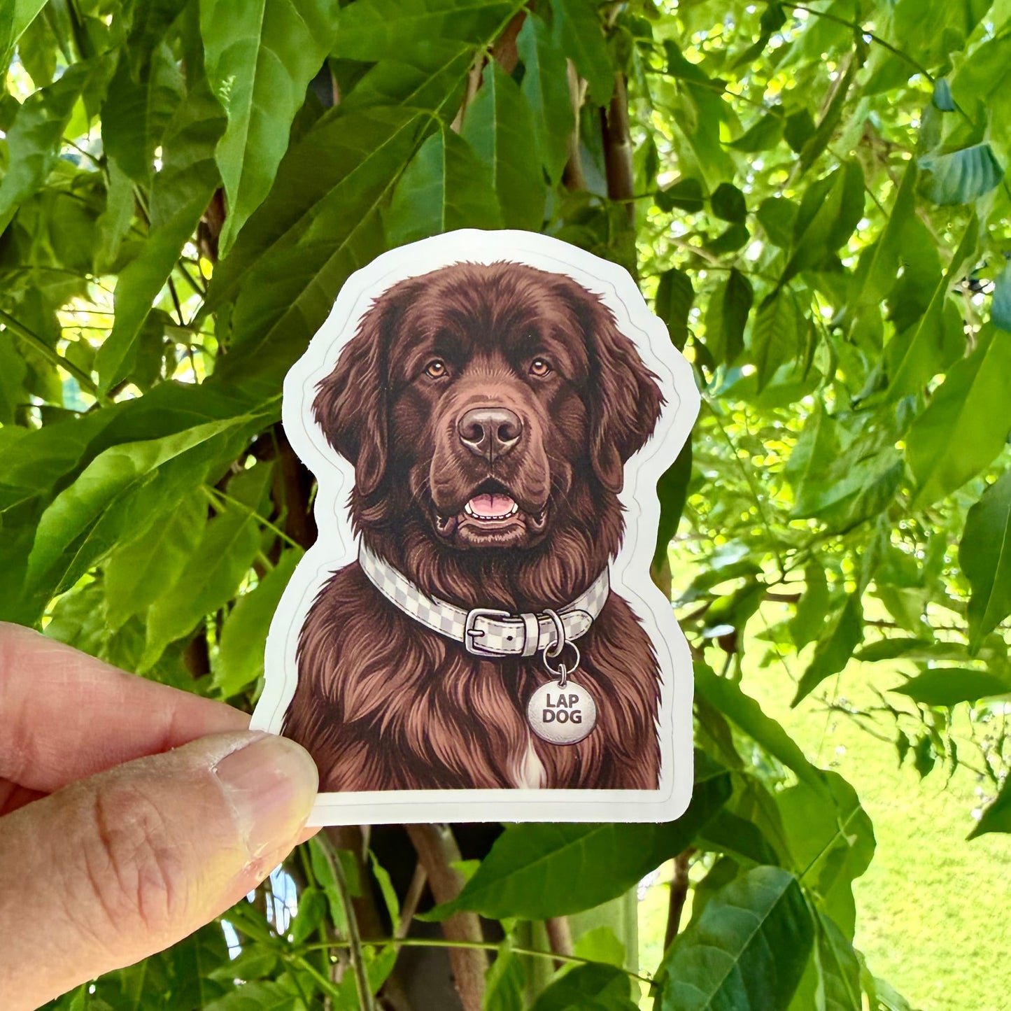 Brown Newfoundland dog sticker held in one hand against leafy green trees, showing the illustrated Newfie portrait and white kiss-cut border