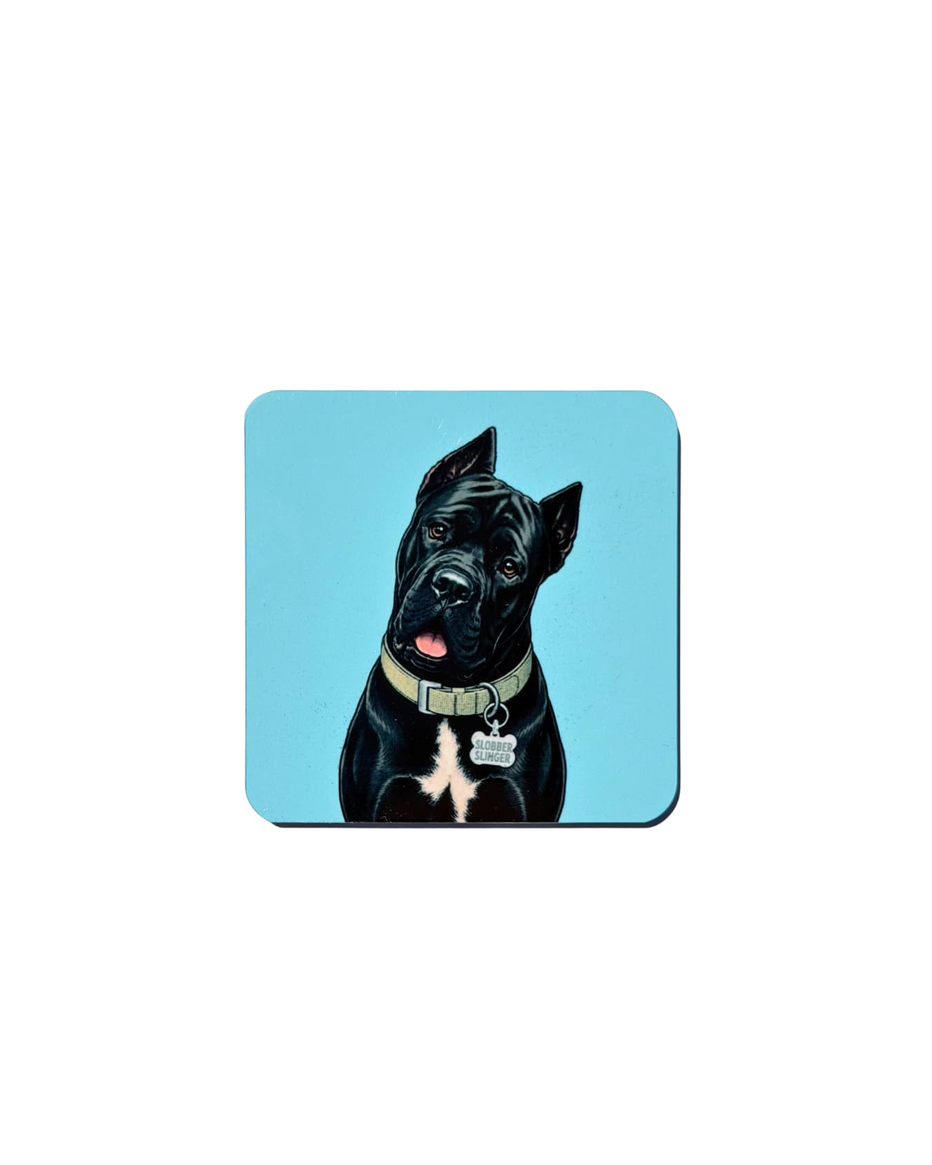 Cane Corso slobber magnet on white background, 2.5 inch square aluminum with Slobber Slinger collar tag, sky blue background